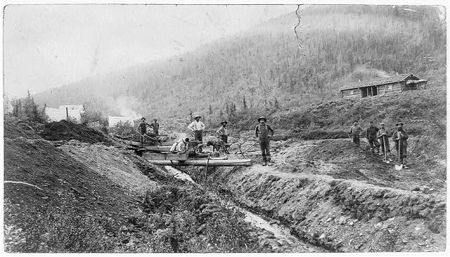 gold miners in california